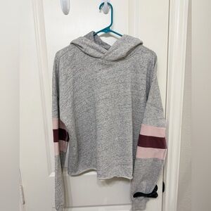 Abercrombie & Fitch Gray Sweater with Pink and Maroon Stripes